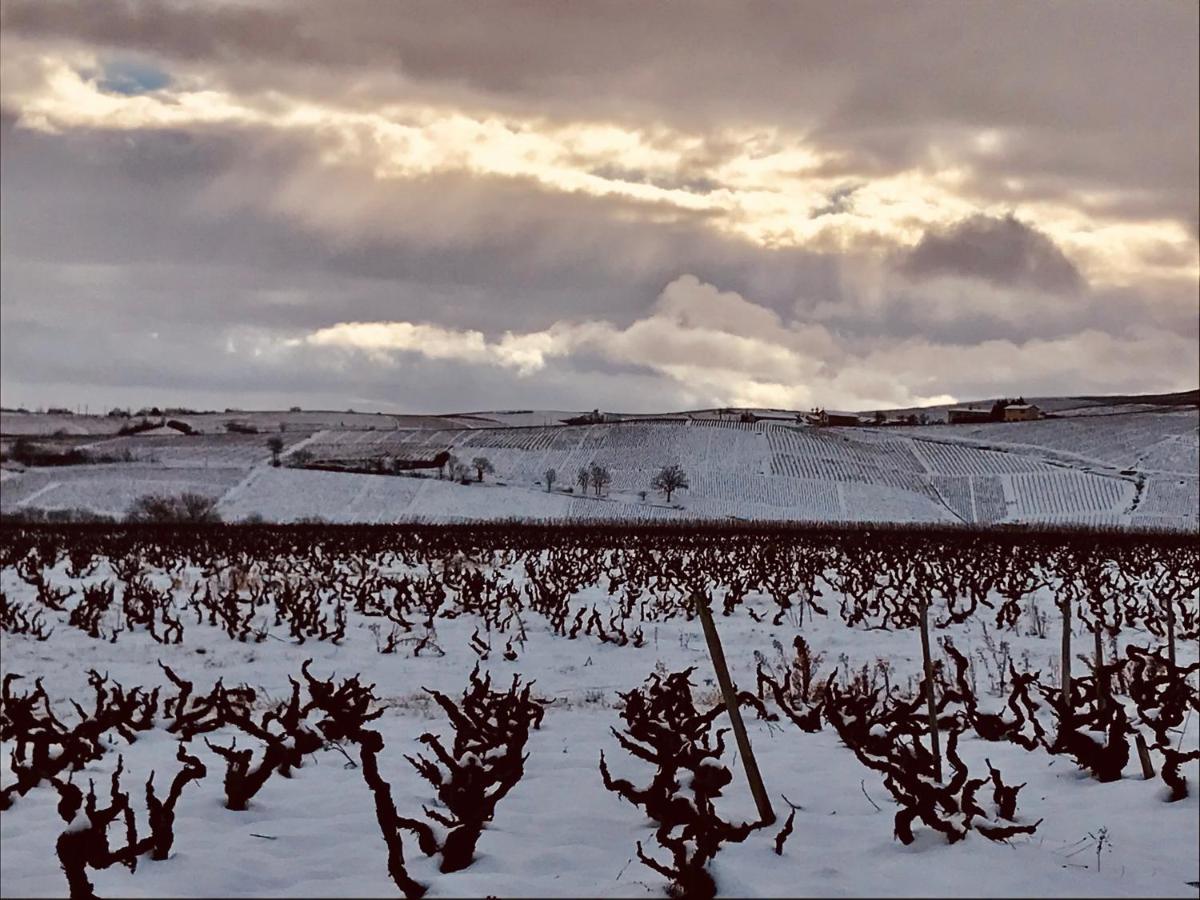 La Boheme, Gite De Charme Quincié-en-Beaujolais Εξωτερικό φωτογραφία